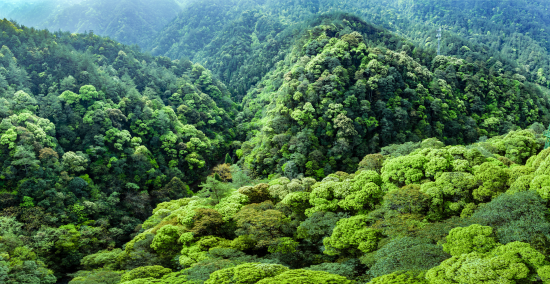 Qianjiangyuan: 
